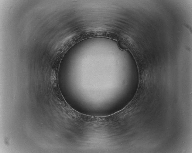 X0000102221062200808011157