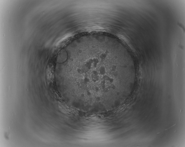 X0000102221063200808011157