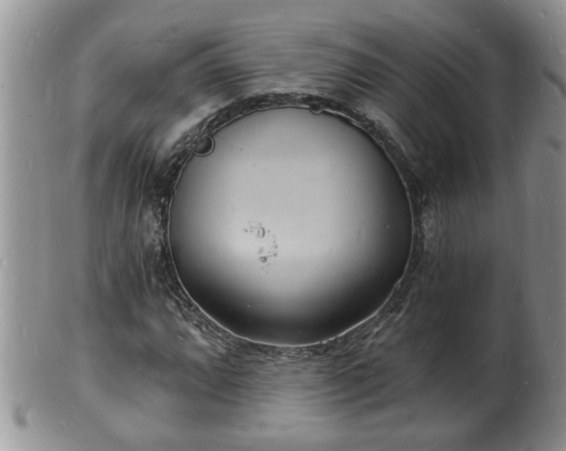 X0000102221064200808011157