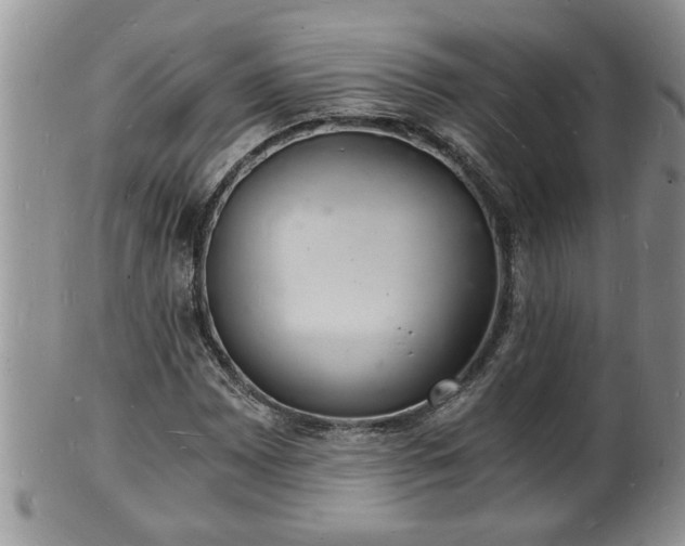 X0000102221065200808011157