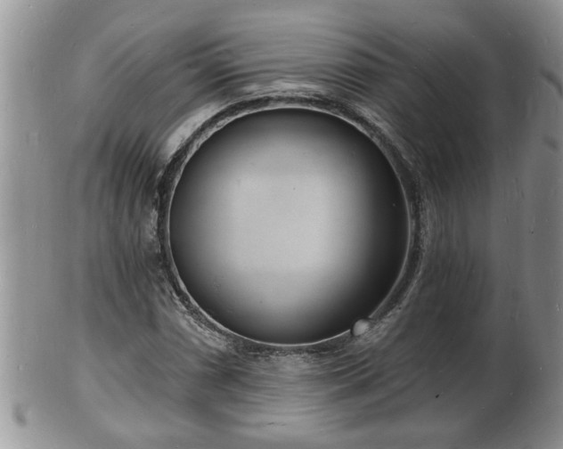 X0000102221066200808011157