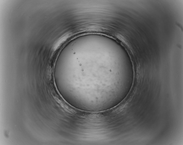 X0000102221067200808011157