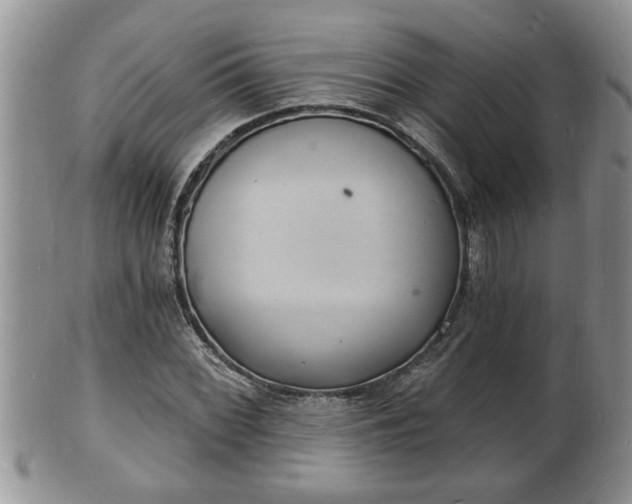 X0000102221068200808011157