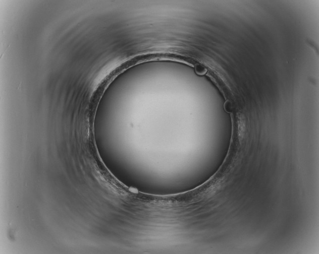 X0000102221069200808011157