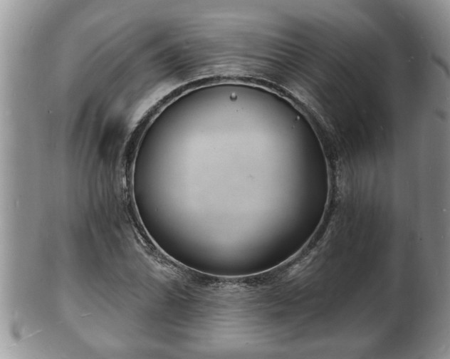 X0000102221070200808011157