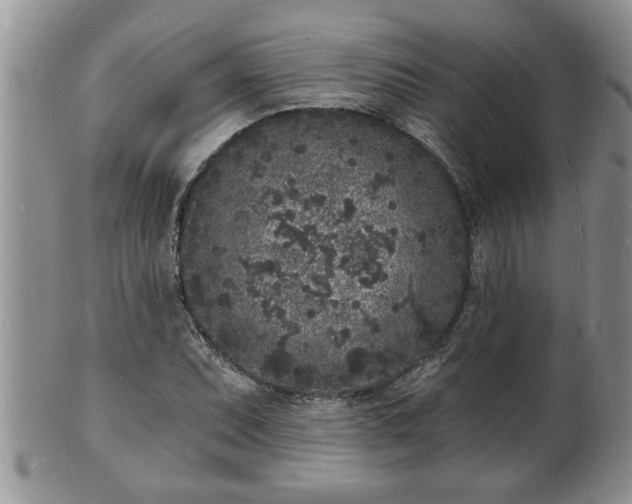 X0000102221071200808011157