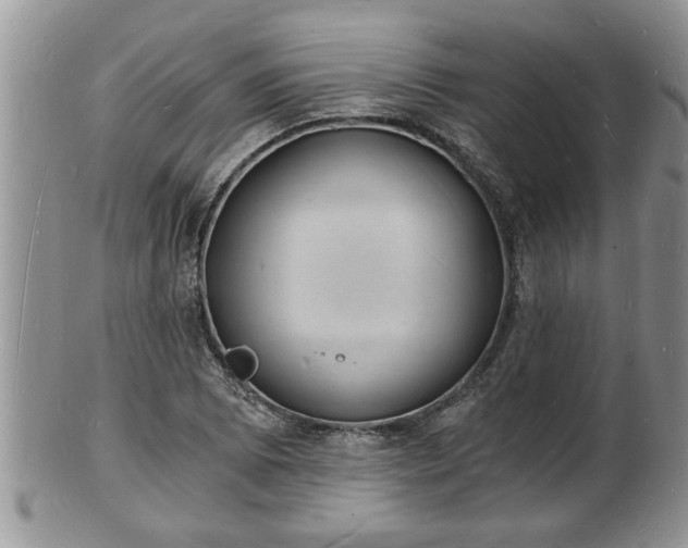 X0000102221073200808011157