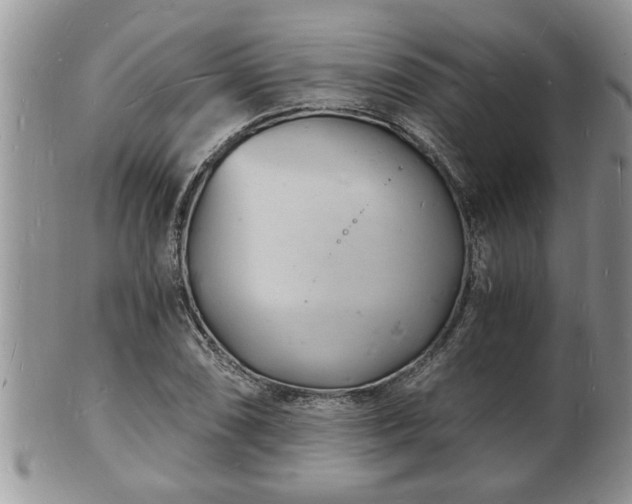 X0000102221074200808011157