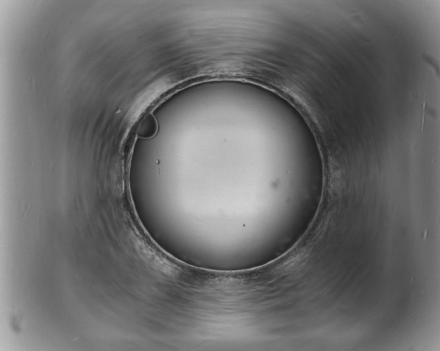 X0000102221075200808011157