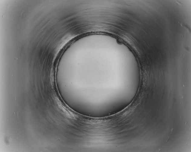 X0000102221076200808011157