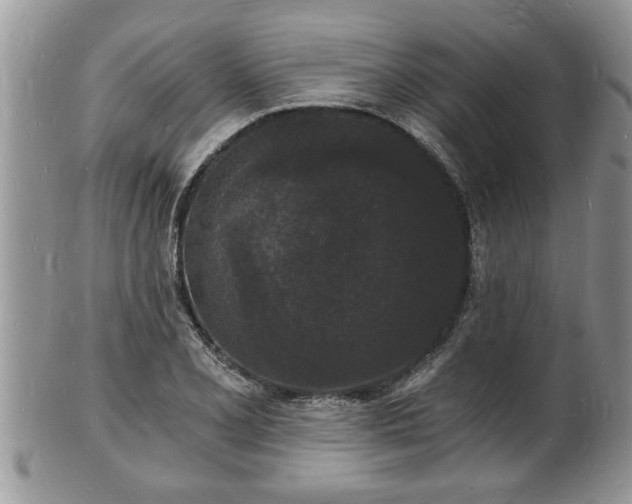 X0000102221077200808011157