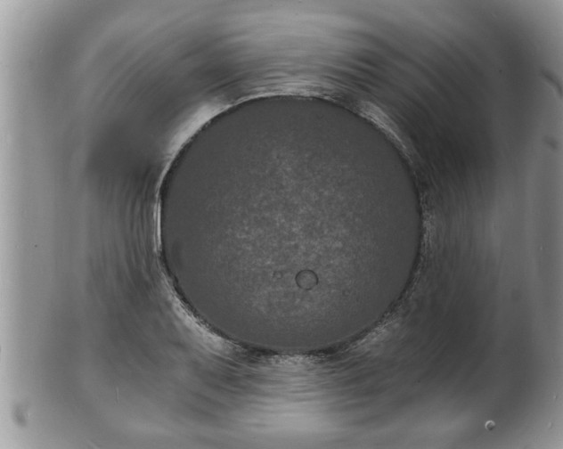 X0000102221079200808011157