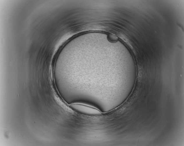 X0000102221080200808011157