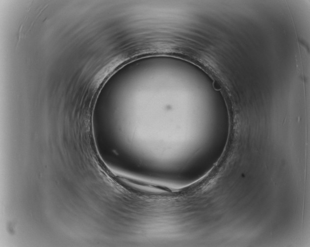 X0000102221081200808011157