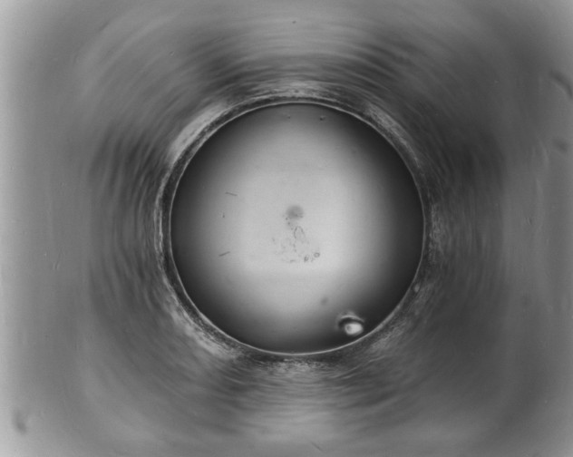 X0000102221082200808011157