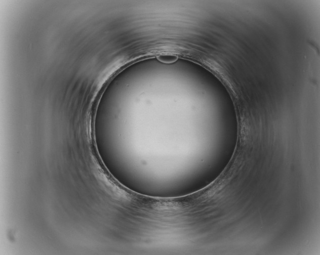 X0000102221083200808011157