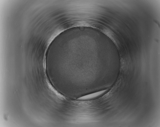 X0000102221084200808011157