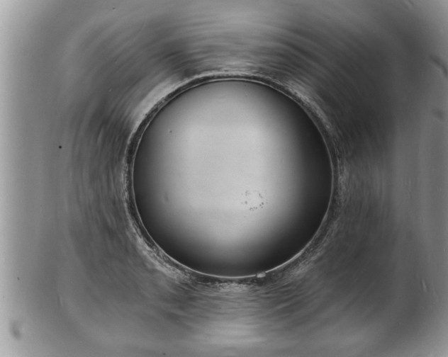 X0000102221085200808011157