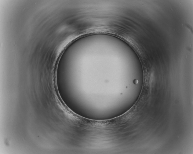 X0000102221086200808011157