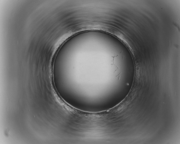 X0000102221088200808011157