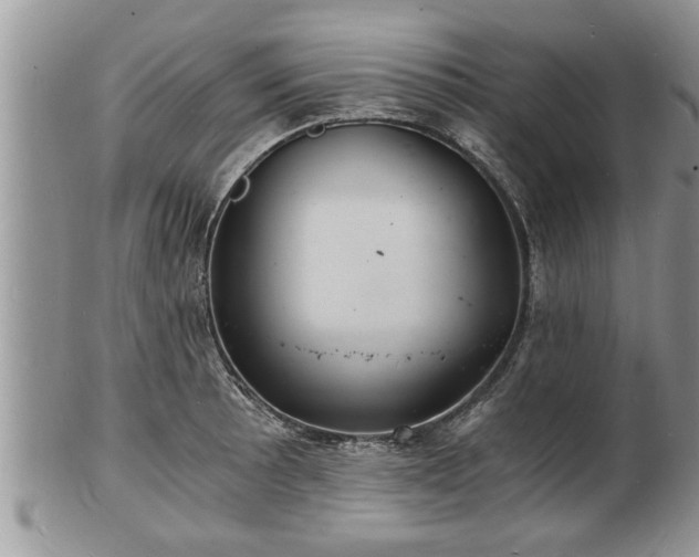 X0000102221089200808011156