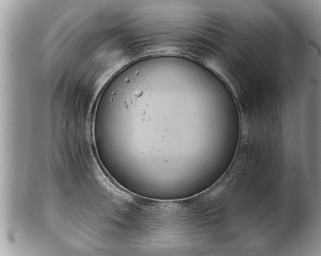 X0000102221090200808011156