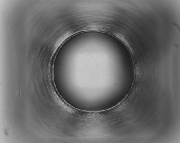 X0000102221091200808011156