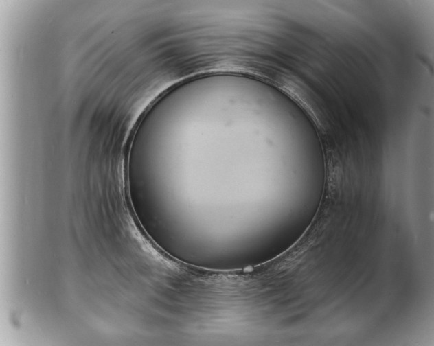 X0000102221092200808011156