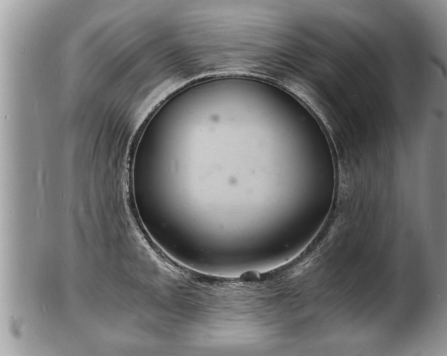 X0000102221093200808011156