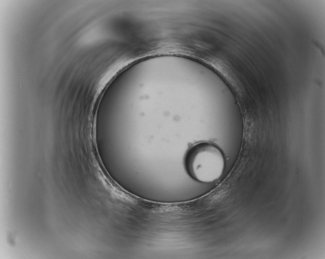 X0000102221094200808011156