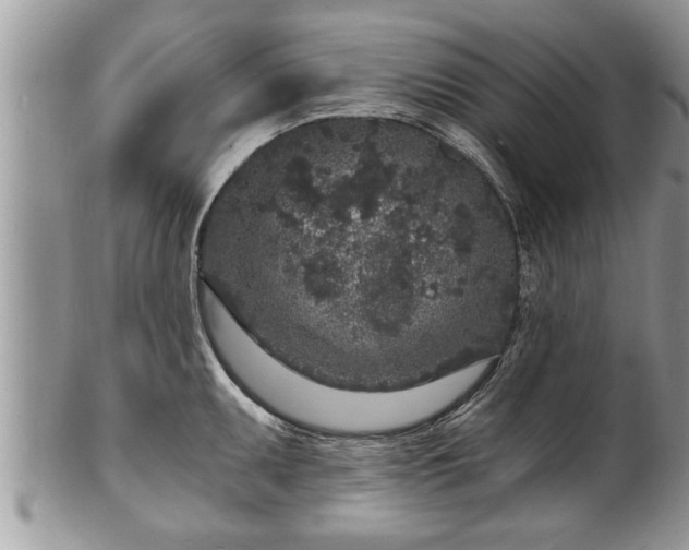 X0000102221095200808011156