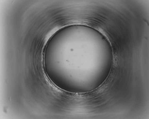 X0000102221096200808011156