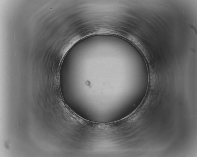 X0000102221097200808011156