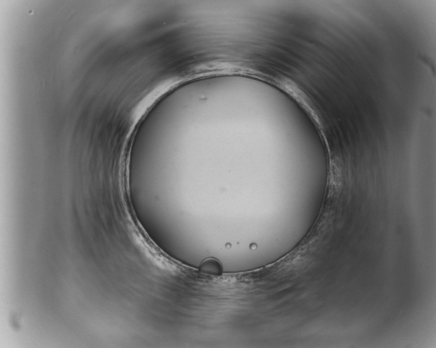 X0000102221098200808011156