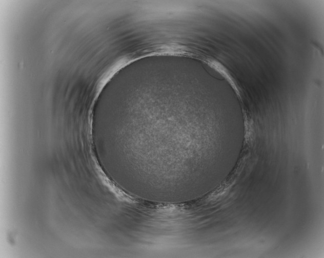 X0000102221099200808011156