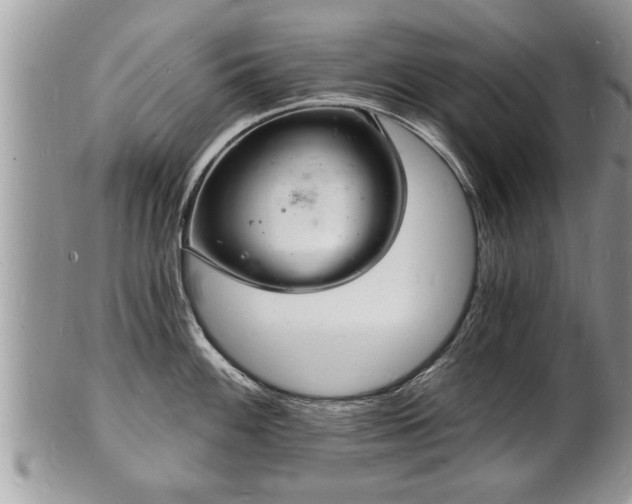 X0000102221100200808011156