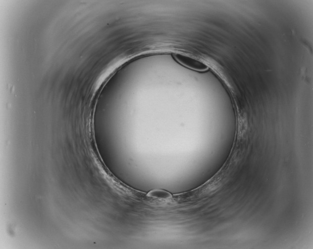 X0000102221101200808011156