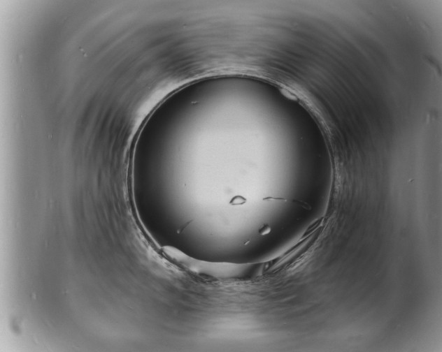 X0000102221102200808011156