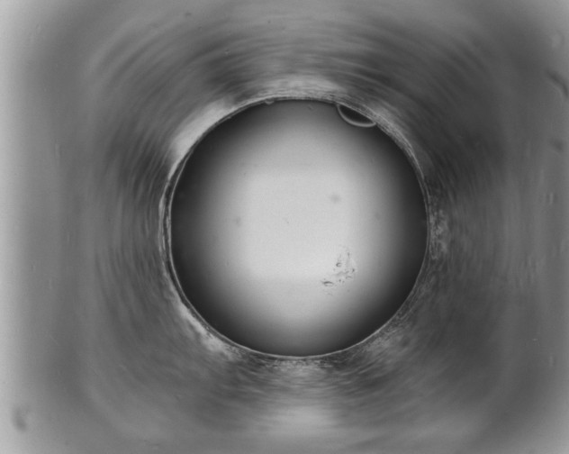 X0000102221103200808011156