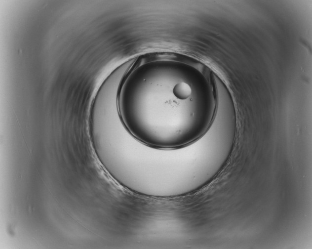 X0000102221104200808011156