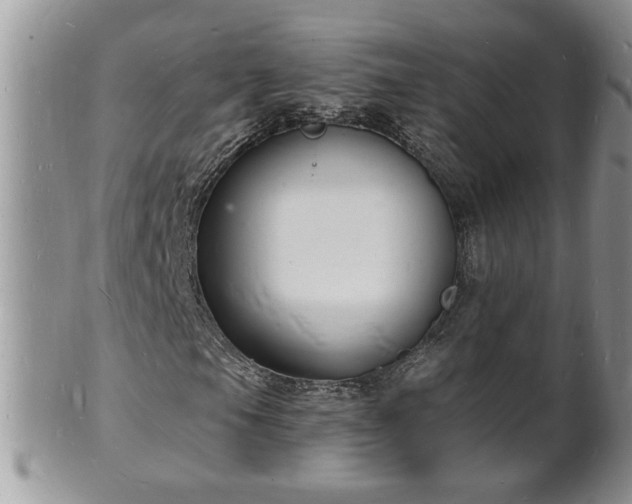 X0000102221105200808011155