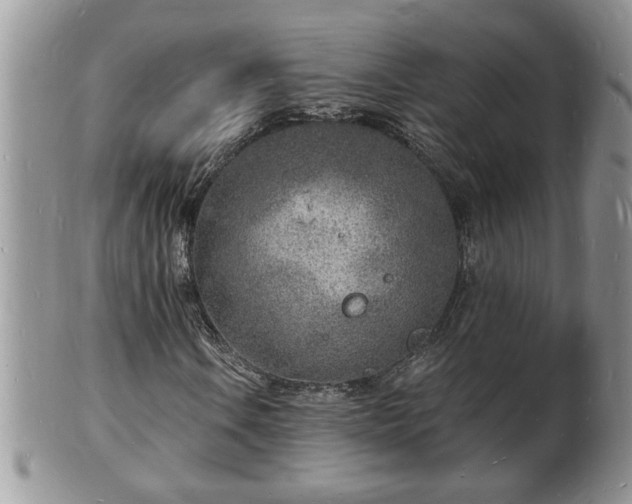 X0000102221106200808011155