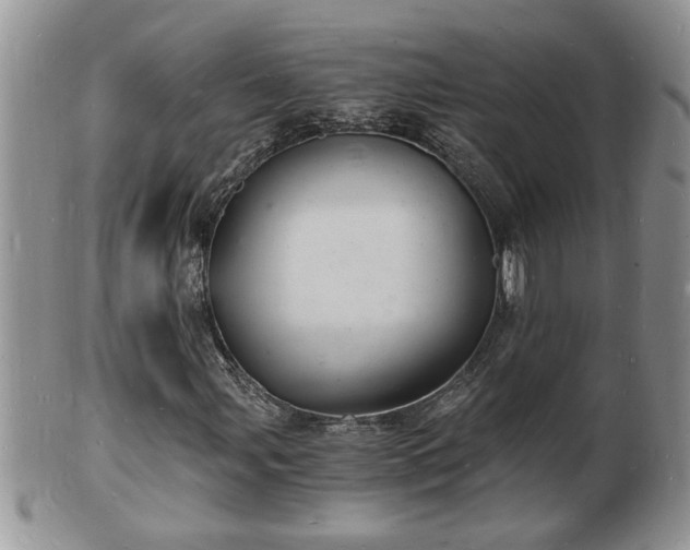 X0000102221107200808011155