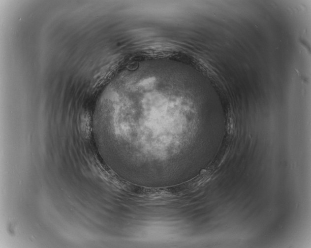 X0000102221108200808011155