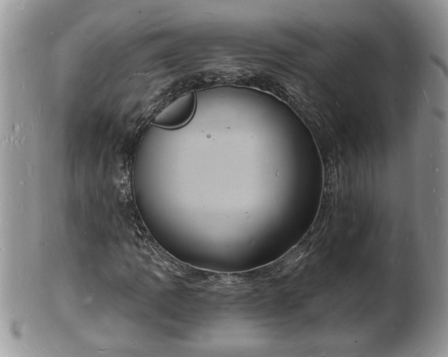 X0000102221109200808011155