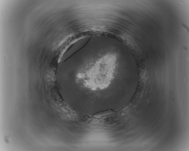 X0000102221110200808011155