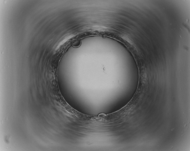 X0000102221112200808011155