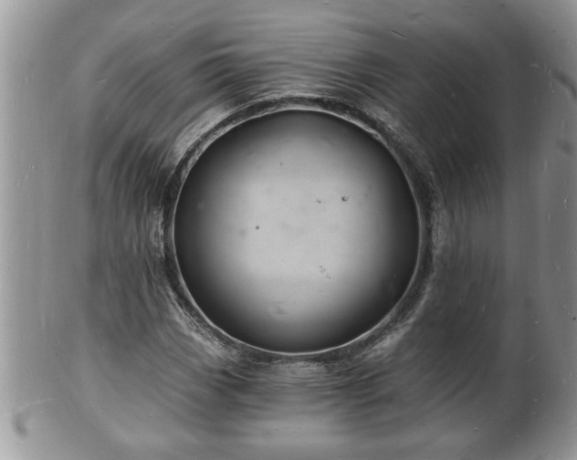 X0000102221113200808011155