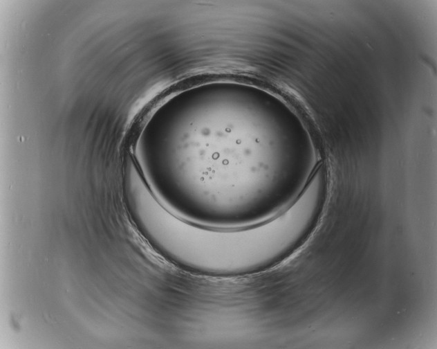 X0000102221114200808011155