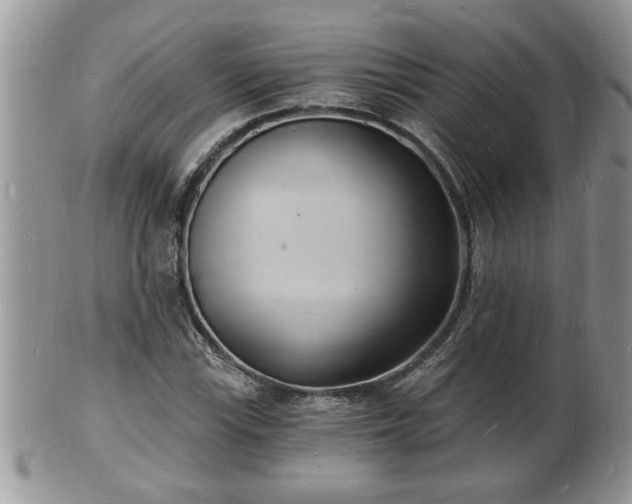 X0000102221115200808011155